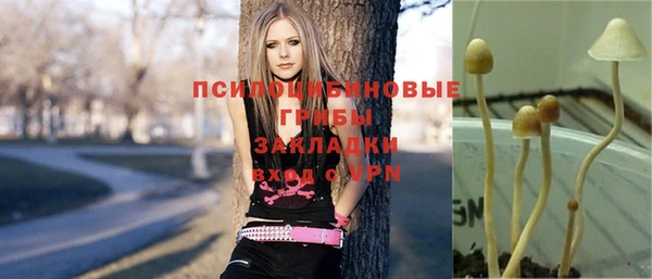 гидропоника Алексин