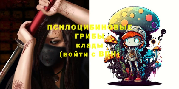 сатива Алзамай