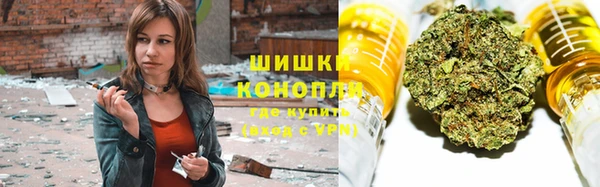сатива Алзамай